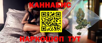 крисы Краснодар