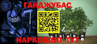 крисы Краснодар