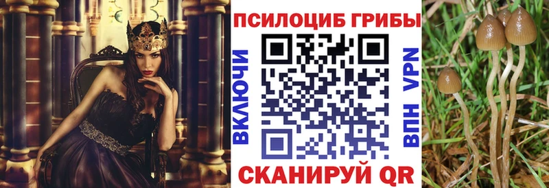 Галлюциногенные грибы ЛСД  Домодедово 