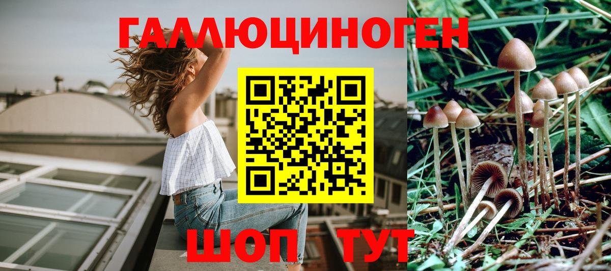 Псилоцибиновые грибы прущие грибы Домодедово