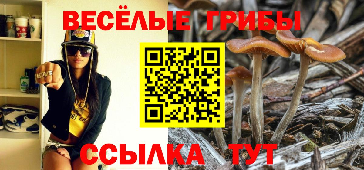 Псилоцибиновые грибы Psilocybine cubensis  Вход с VPN  Галлюциногенные грибы GOLDEN TEACHER  где купить   Домодедово 